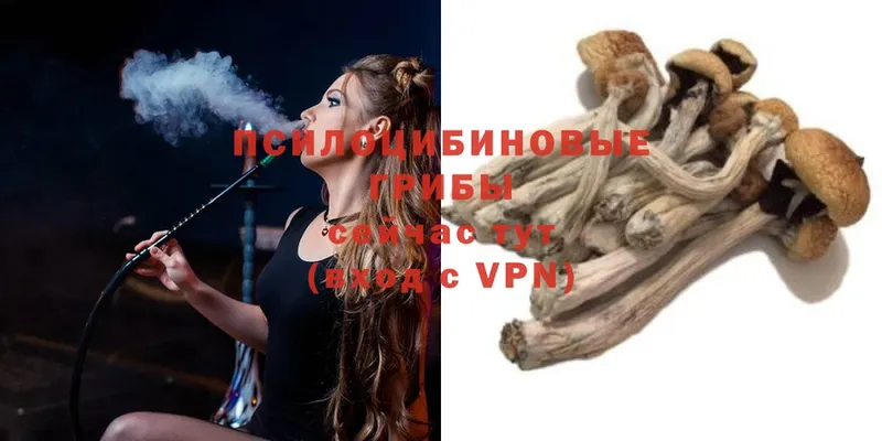 Псилоцибиновые грибы Magic Shrooms  Верхний Тагил 